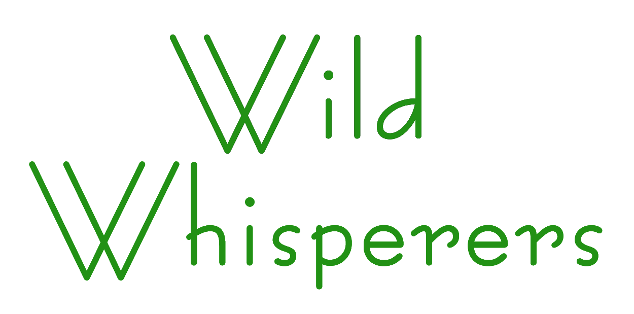 WILD WHISPERERS